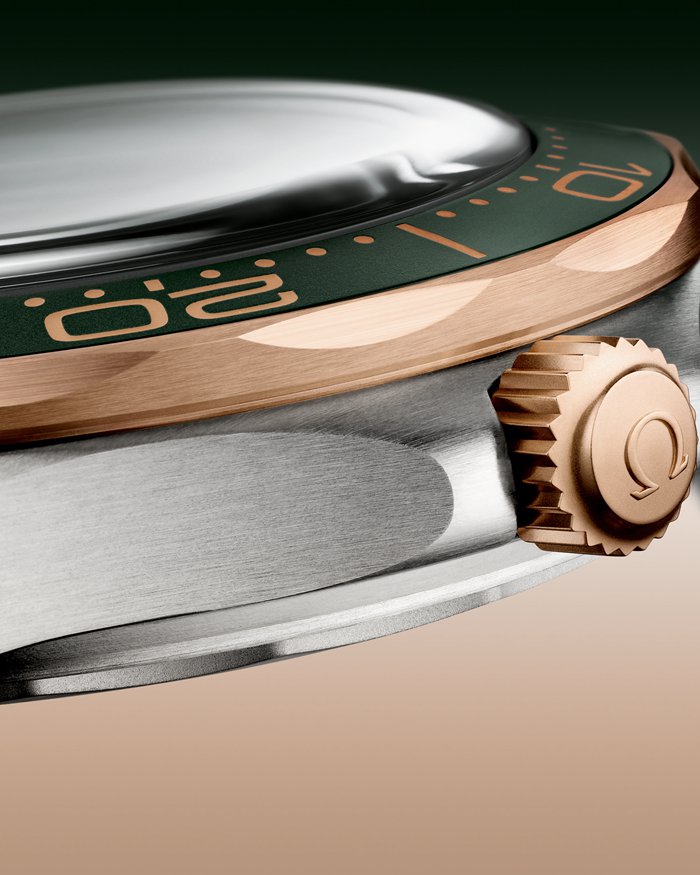 Omega Seamaster Diver 300M 42 mm, titânio - Bronze gold em titânio 210.90.42.20.10.001 - Image 6